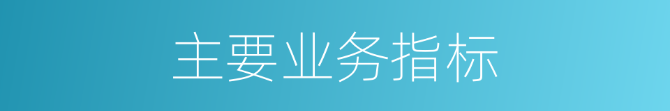 主要业务指标的同义词