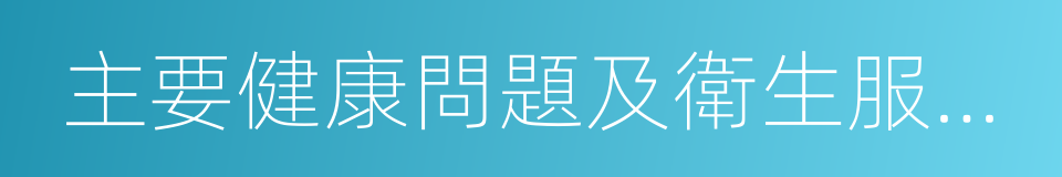 主要健康問題及衛生服務記錄的同義詞