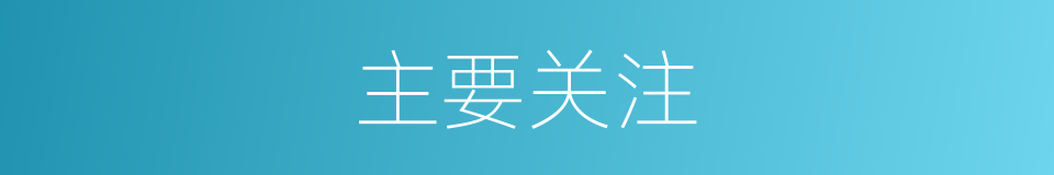 主要关注的同义词