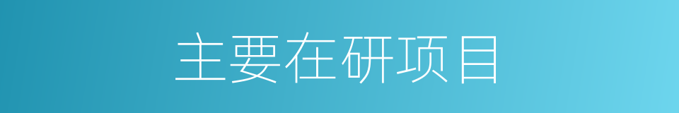 主要在研项目的同义词