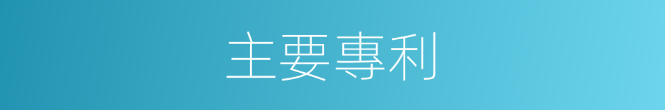 主要專利的同義詞