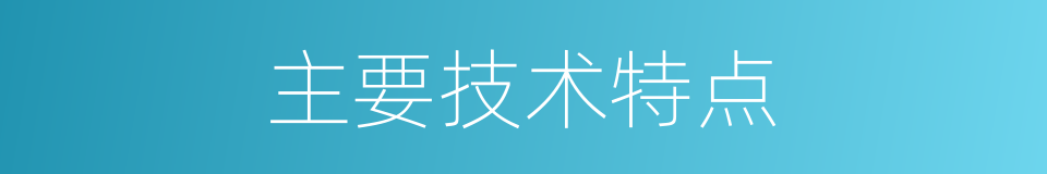 主要技术特点的同义词