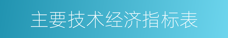 主要技术经济指标表的同义词