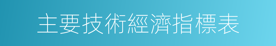 主要技術經濟指標表的同義詞