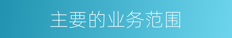 主要的业务范围的同义词