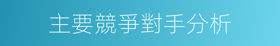 主要競爭對手分析的同義詞