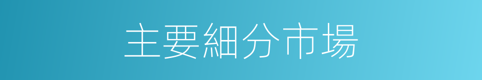 主要細分市場的同義詞
