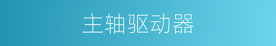 主轴驱动器的同义词