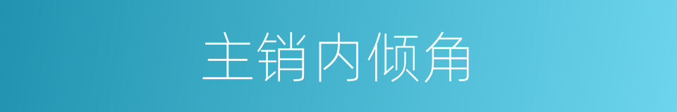 主销内倾角的同义词