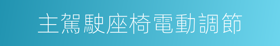 主駕駛座椅電動調節的同義詞