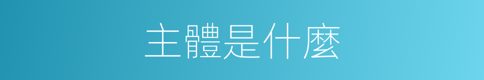 主體是什麼的意思