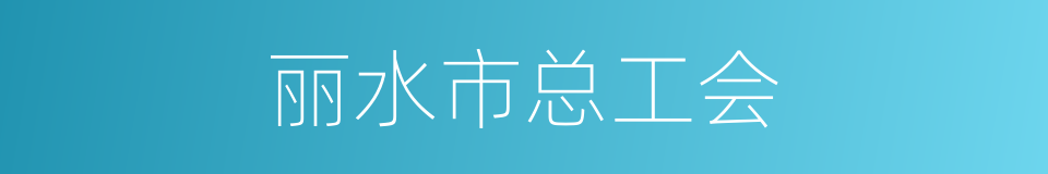 丽水市总工会的同义词