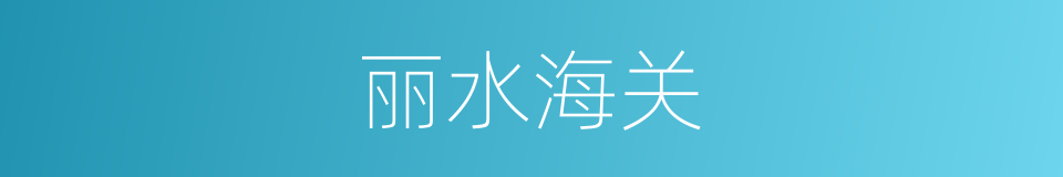 丽水海关的同义词