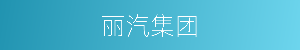 丽汽集团的同义词