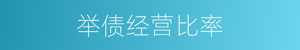 举债经营比率的同义词