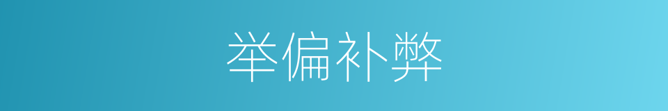 举偏补弊的意思