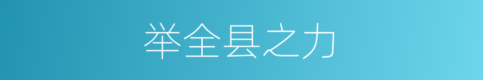 举全县之力的同义词