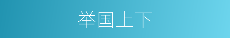 举国上下的意思