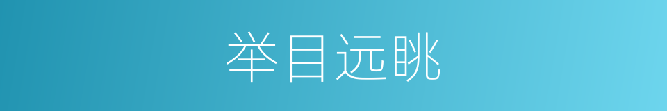 举目远眺的意思