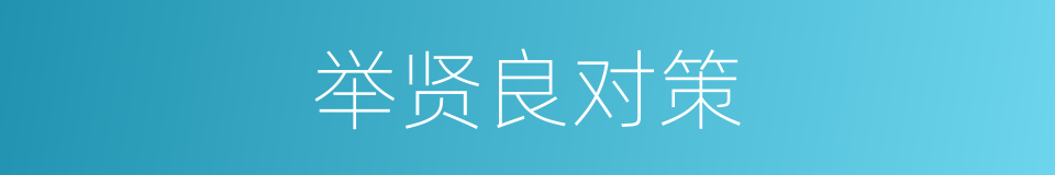 举贤良对策的同义词