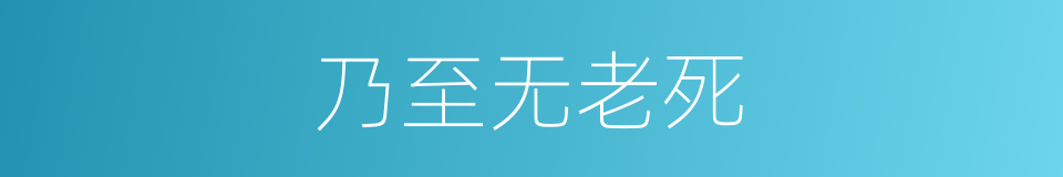 乃至无老死的同义词