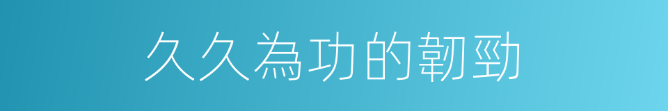 久久為功的韌勁的同義詞
