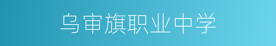 乌审旗职业中学的同义词