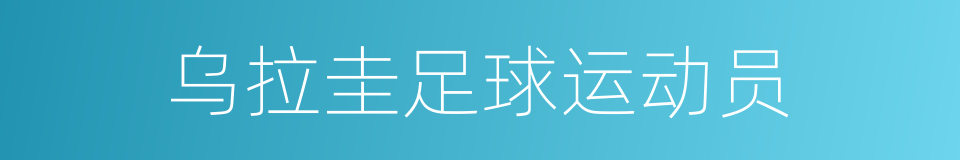 乌拉圭足球运动员的同义词