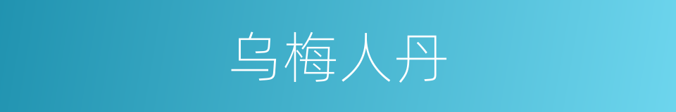 乌梅人丹的同义词