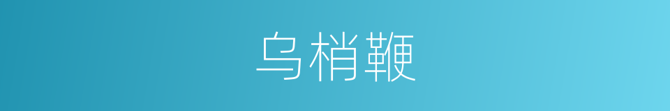 乌梢鞭的同义词
