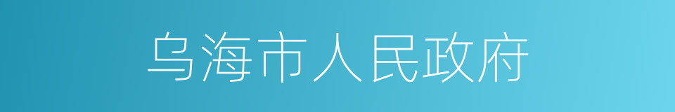 乌海市人民政府的意思