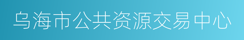 乌海市公共资源交易中心的同义词