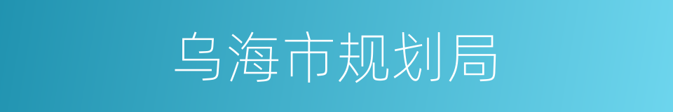 乌海市规划局的同义词