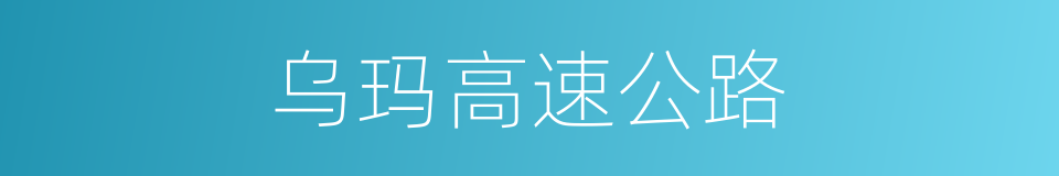 乌玛高速公路的同义词