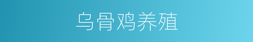 乌骨鸡养殖的同义词