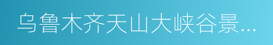 乌鲁木齐天山大峡谷景区管理集团有限公司的同义词