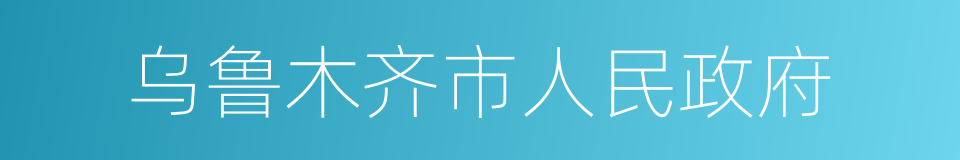 乌鲁木齐市人民政府的同义词