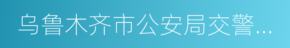 乌鲁木齐市公安局交警支队的同义词