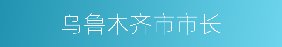 乌鲁木齐市市长的同义词