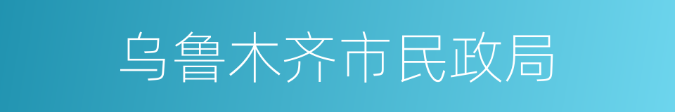 乌鲁木齐市民政局的同义词