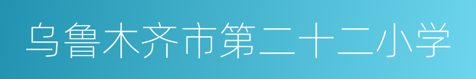 乌鲁木齐市第二十二小学的同义词