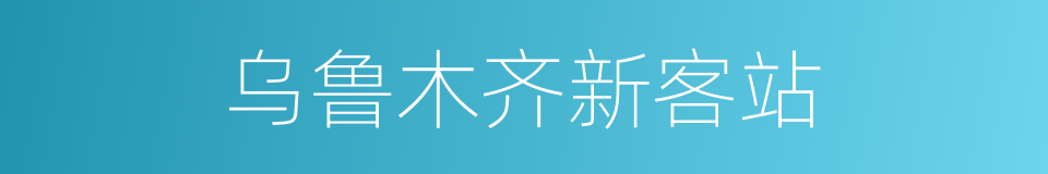 乌鲁木齐新客站的同义词