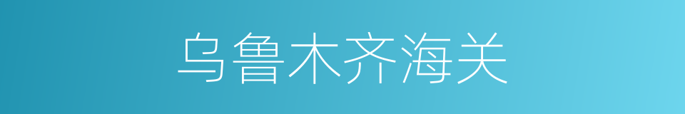 乌鲁木齐海关的同义词