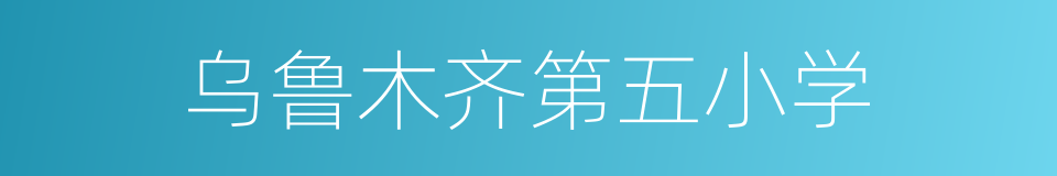 乌鲁木齐第五小学的同义词