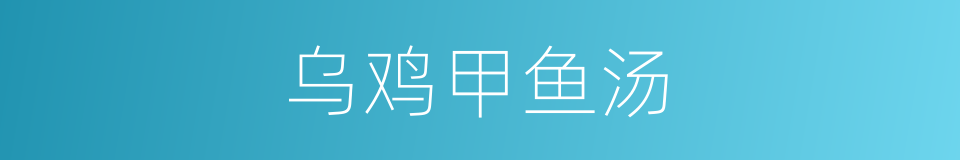 乌鸡甲鱼汤的同义词