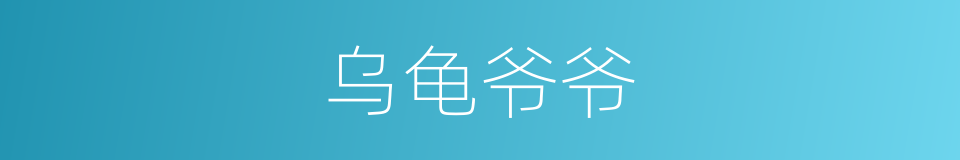 乌龟爷爷的同义词