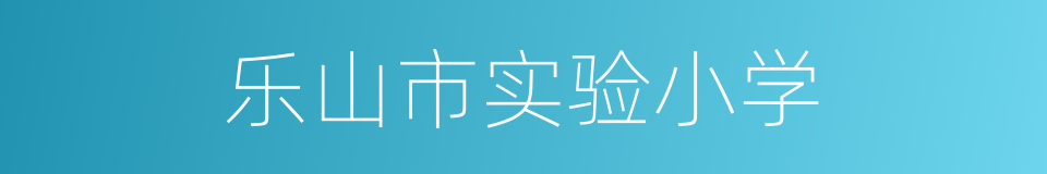 乐山市实验小学的同义词