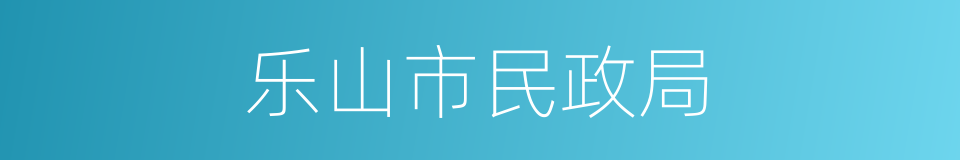 乐山市民政局的同义词