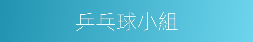乒乓球小組的同義詞