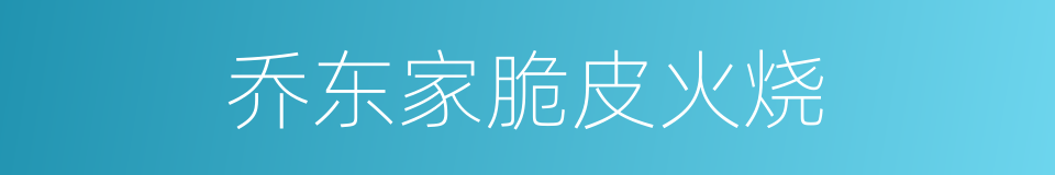 乔东家脆皮火烧的同义词